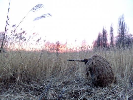svd